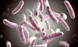 Milk Boosts Gut Biodiversity, Cheese Does the Opposite.