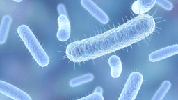 Scientists Discover Root Cause of Lupus. Potential Cure Found.
