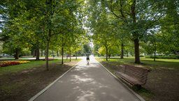 The 10,000 Steps Myth: What Science Actually Says.